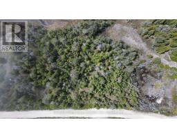 Lt 255 Pedwell Pt. Drive, Northern Bruce Peninsula, ON N0H2R0 Photo 26