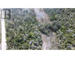 Lt 255 Pedwell Pt. Drive, Northern Bruce Peninsula, ON N0H2R0 Photo 28