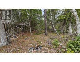 Lt 255 Pedwell Pt. Drive, Northern Bruce Peninsula, ON N0H2R0 Photo 6