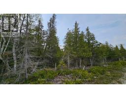 Lt 255 Pedwell Pt. Drive, Northern Bruce Peninsula, ON N0H2R0 Photo 7