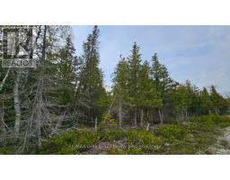 Lt 255 Pedwell Pt. Drive, Northern Bruce Peninsula, ON N0H2R0 Photo 8