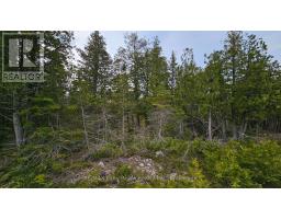 Lt 255 Pedwell Pt. Drive, Northern Bruce Peninsula, ON N0H2R0 Photo 9