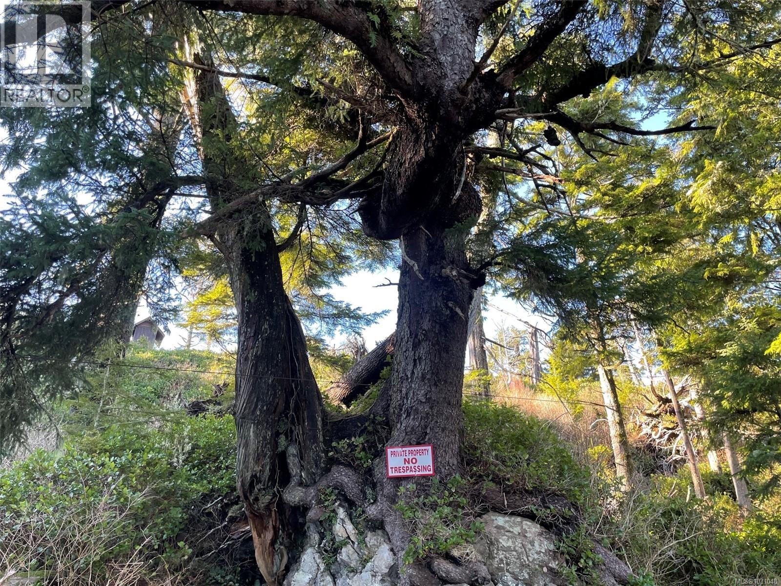 LOT 12 Marine Dr, Ucluelet