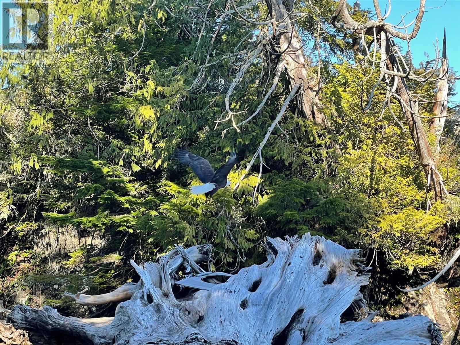 LOT 12 Marine Dr, Ucluelet