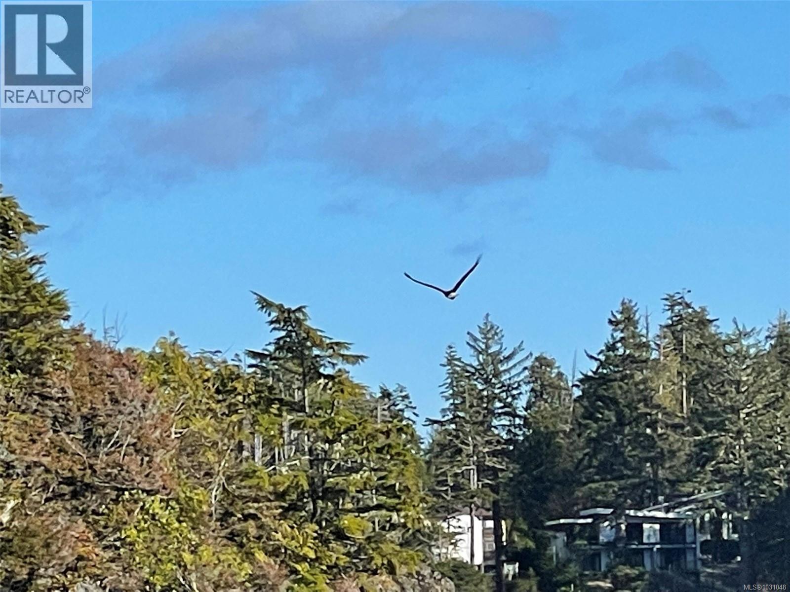 LOT 12 Marine Dr, Ucluelet