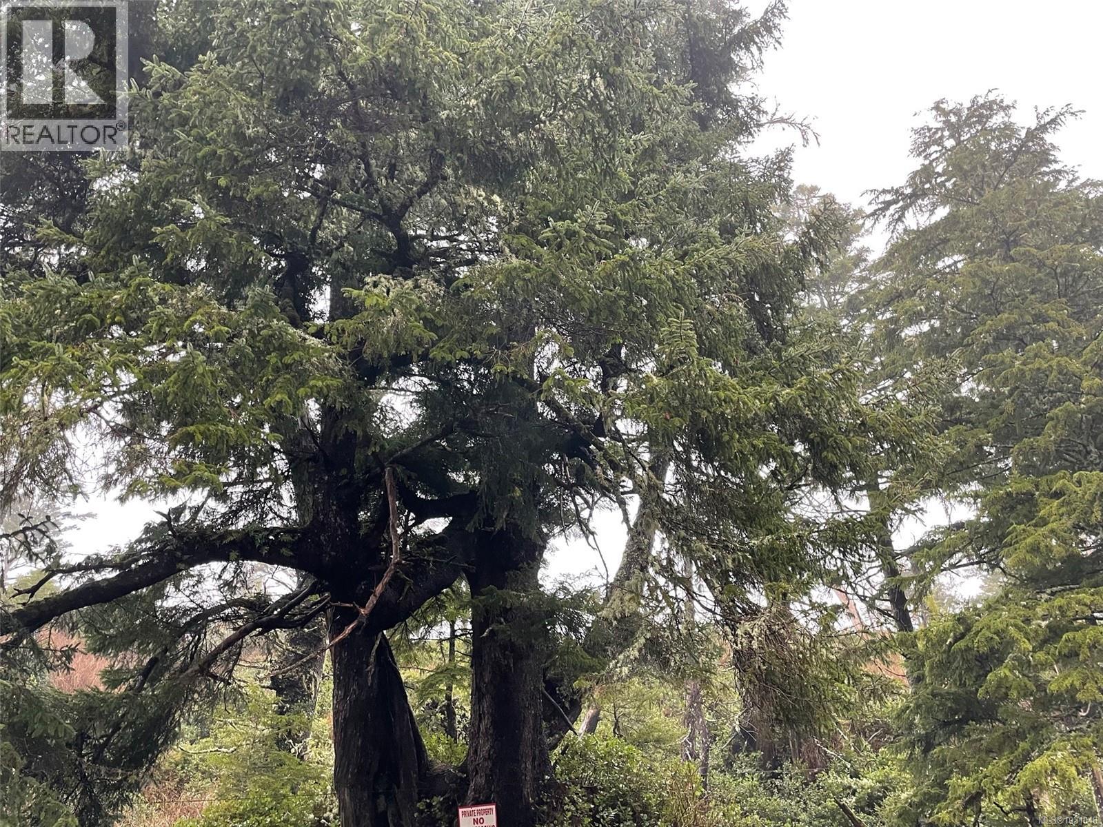 LOT 12 Marine Dr, Ucluelet