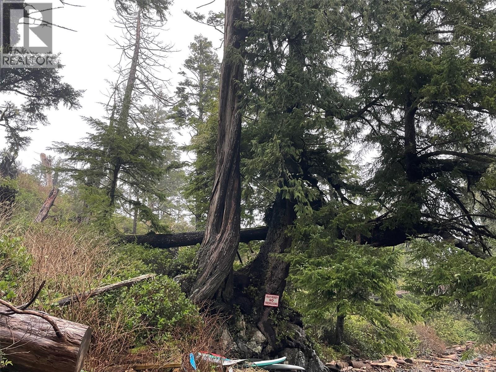 LOT 12 Marine Dr, Ucluelet