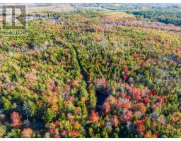 Lot Fort Point Road, Ashmore, NS B0W3T0 Photo 10
