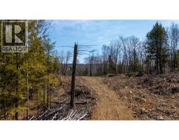 92-6 Carl Avenue, Longs Creek, NB E6K2W9 Photo 16