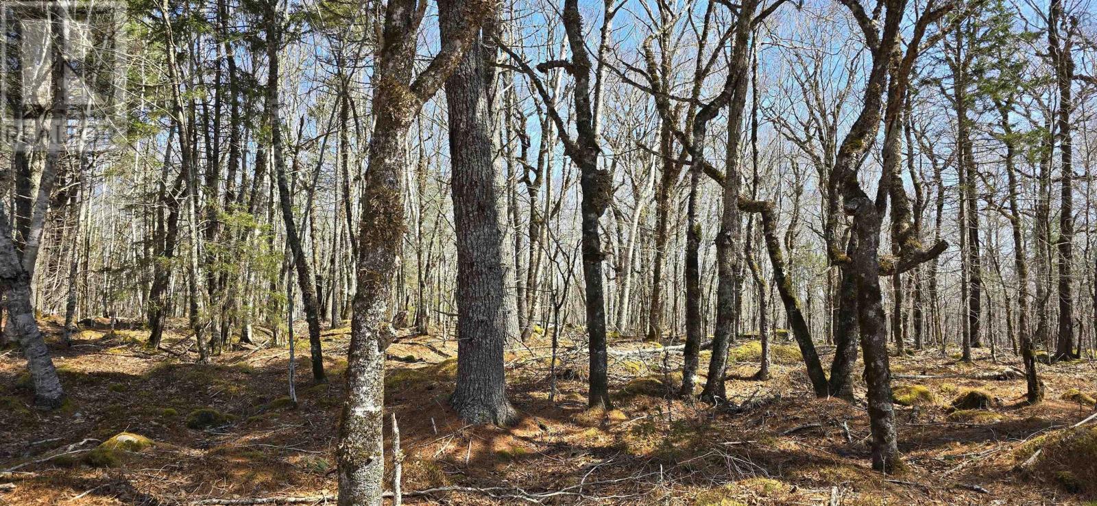 Property 15 of 26 of 69 Sparkling Spring Lane