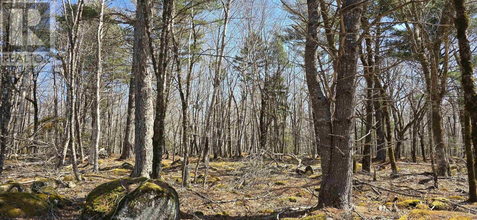 Property 17 of 26 of 69 Sparkling Spring Lane