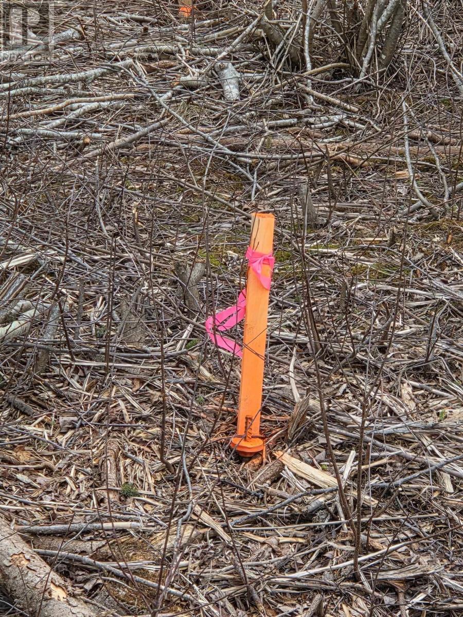 Property 12 of 14 of CVM-A Highway 236, Stanley