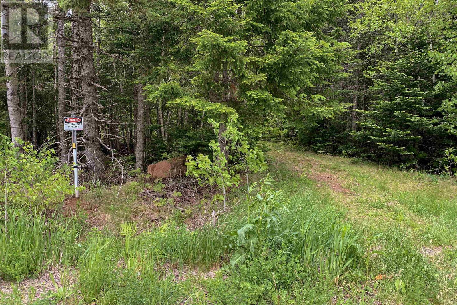 Property 6 of 8 of Lot 6 Highway 321