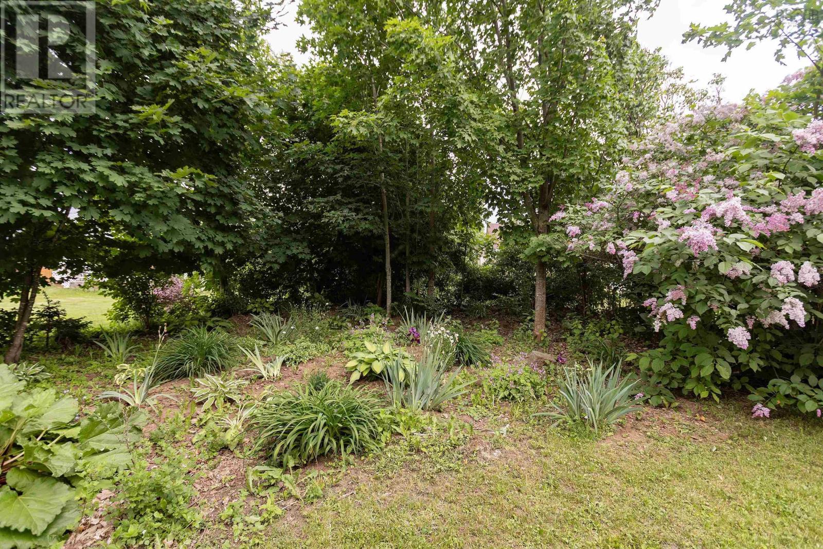 Property 48 of 50 of 41 Prince William Street