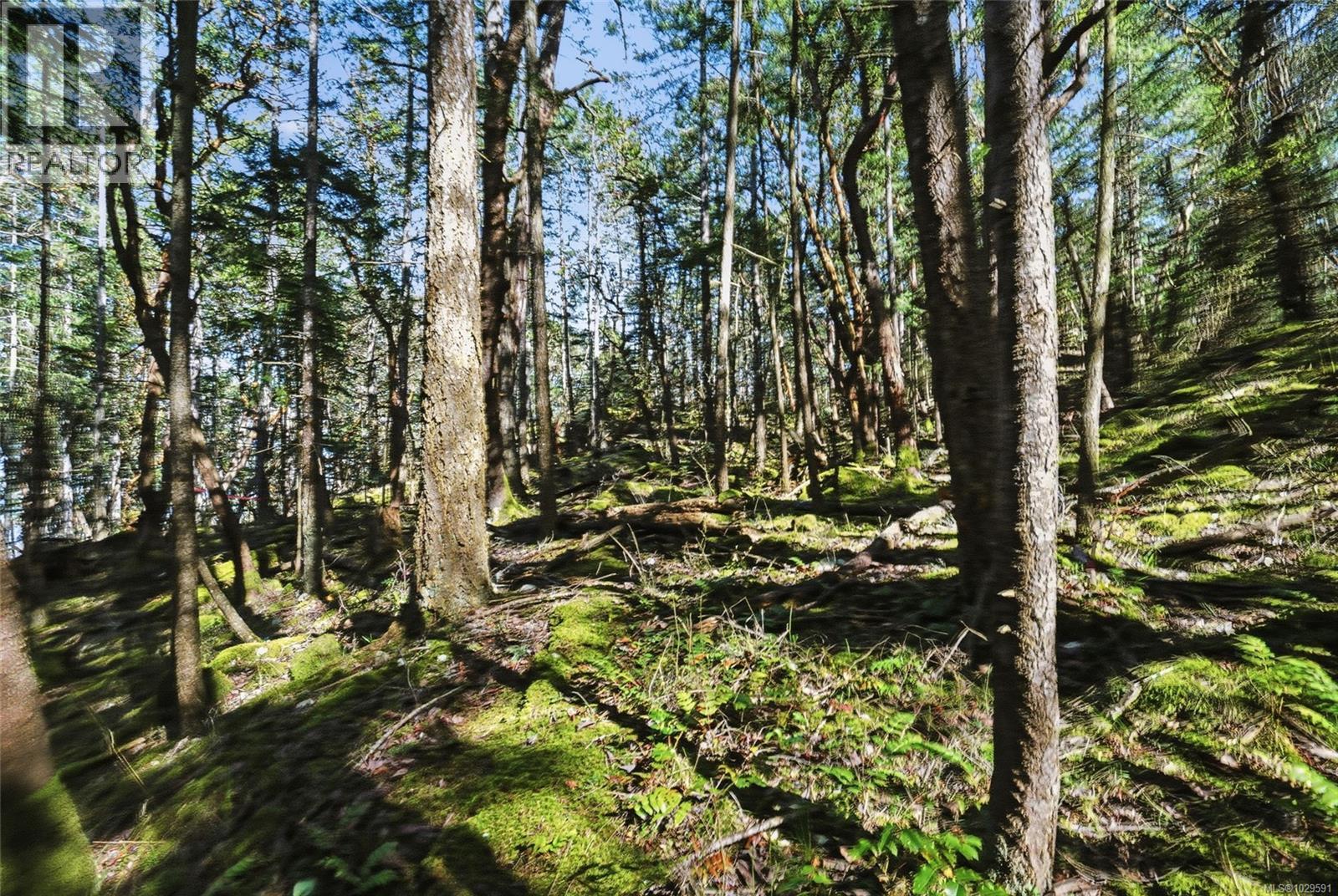 4800 MCGUFFIE RD - 14