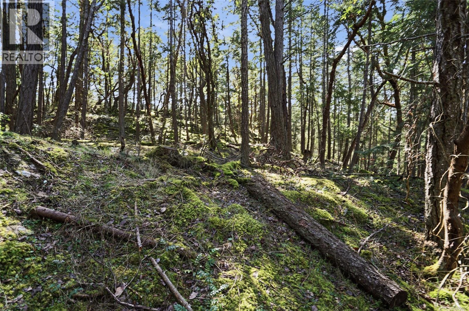 4800 MCGUFFIE RD - 15