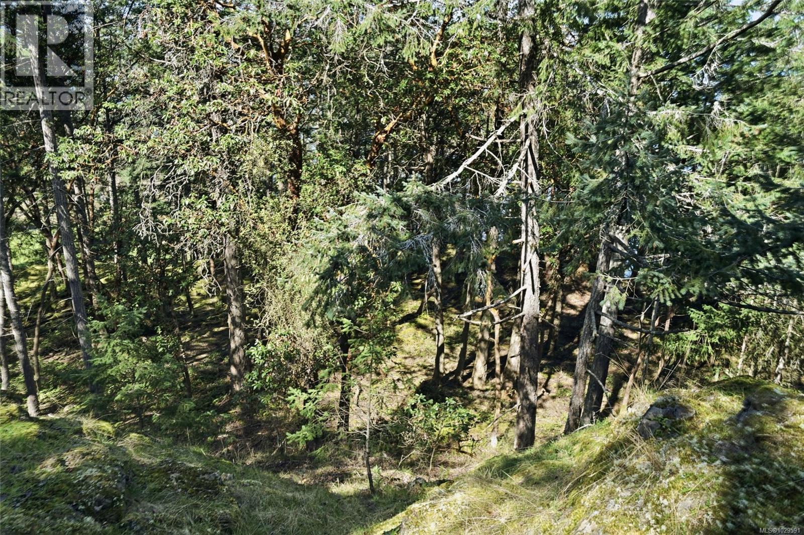 4800 MCGUFFIE RD - 40