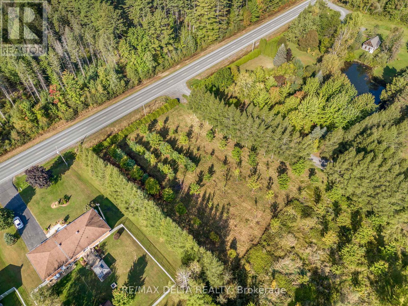 Cedar edge at road has been removed