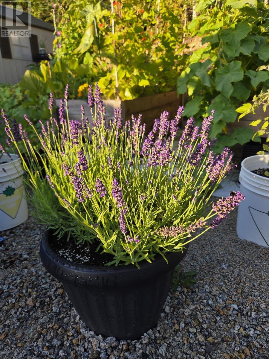 Property 21 of 31 of 29 Sea Glass Drive