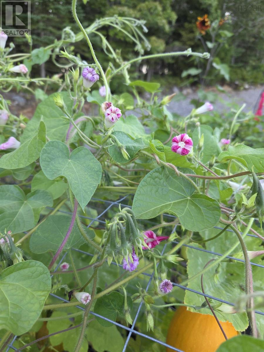 Property 27 of 31 of 29 Sea Glass Drive