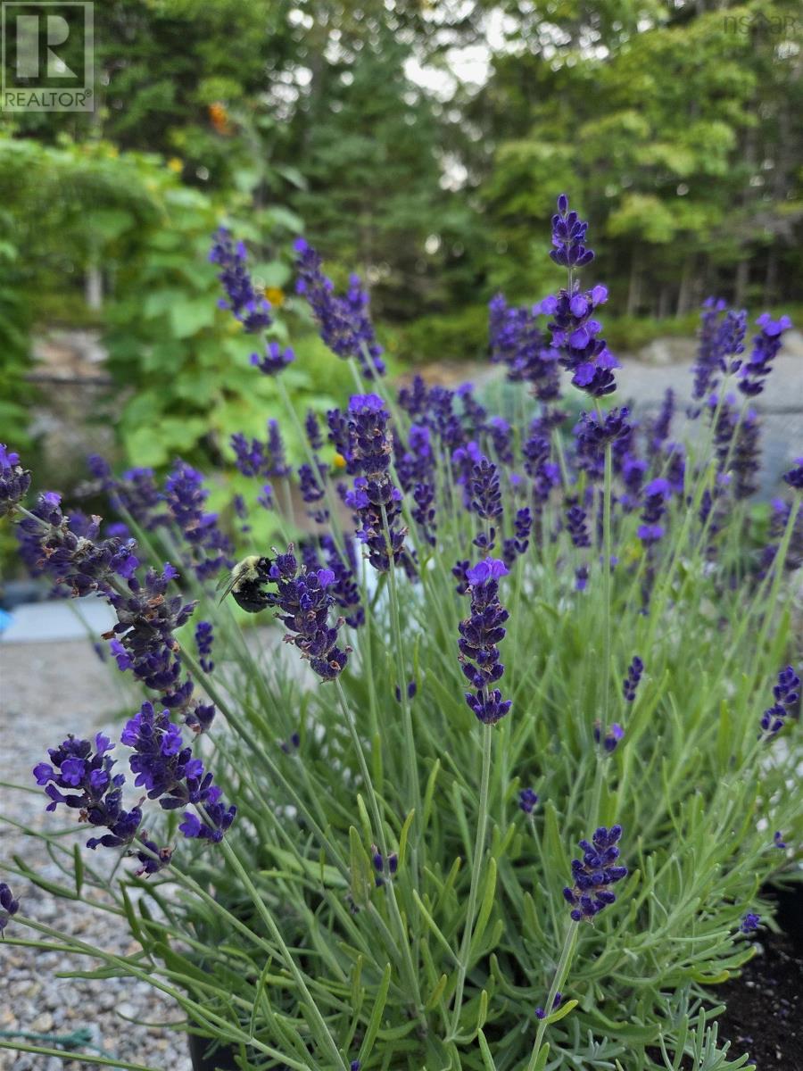 Property 28 of 31 of 29 Sea Glass Drive