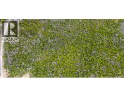 Lot Mascarene Road, Mascarene, NB E5C2R9 Photo 7