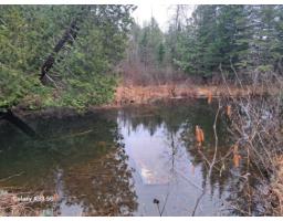 5 Ch. Blanchard, Gracefield, QC J0X1W0 Photo 11