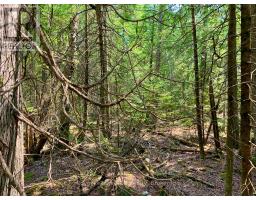 30 Pike Street, Northern Bruce Peninsula, ON N0H1W0 Photo 8