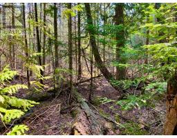 30 Pike Street, Northern Bruce Peninsula, ON N0H1W0 Photo 14