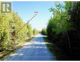 30 Pike Street, Northern Bruce Peninsula, ON N0H1W0 Photo 18