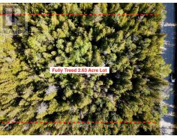 30 Pike Street, Northern Bruce Peninsula, ON N0H1W0 Photo 12