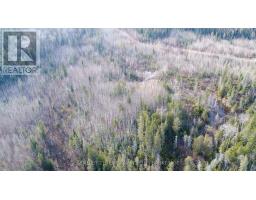 Lot 11 Con 4, Long Lake, Englehart, ON P0J1H0 Photo 10