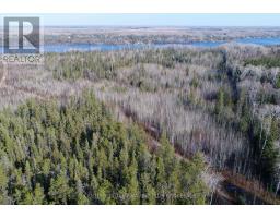 Lot 11 Con 4, Long Lake, Englehart, ON P0J1H0 Photo 18