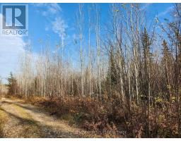 Lot 11 Con 4, Long Lake, Englehart, ON P0J1H0 Photo 21