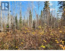 Lot 11 Con 4, Long Lake, Englehart, ON P0J1H0 Photo 22