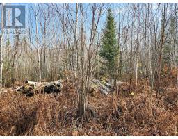 Lot 11 Con 4, Long Lake, Englehart, ON P0J1H0 Photo 23