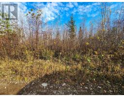 Lot 11 Con 4, Long Lake, Englehart, ON P0J1H0 Photo 24
