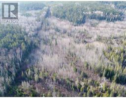 Lot 11 Con 4, Long Lake, Englehart, ON P0J1H0 Photo 8