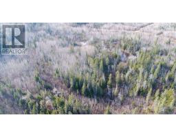 Lot 11 Con 4, Long Lake, Englehart, ON P0J1H0 Photo 9