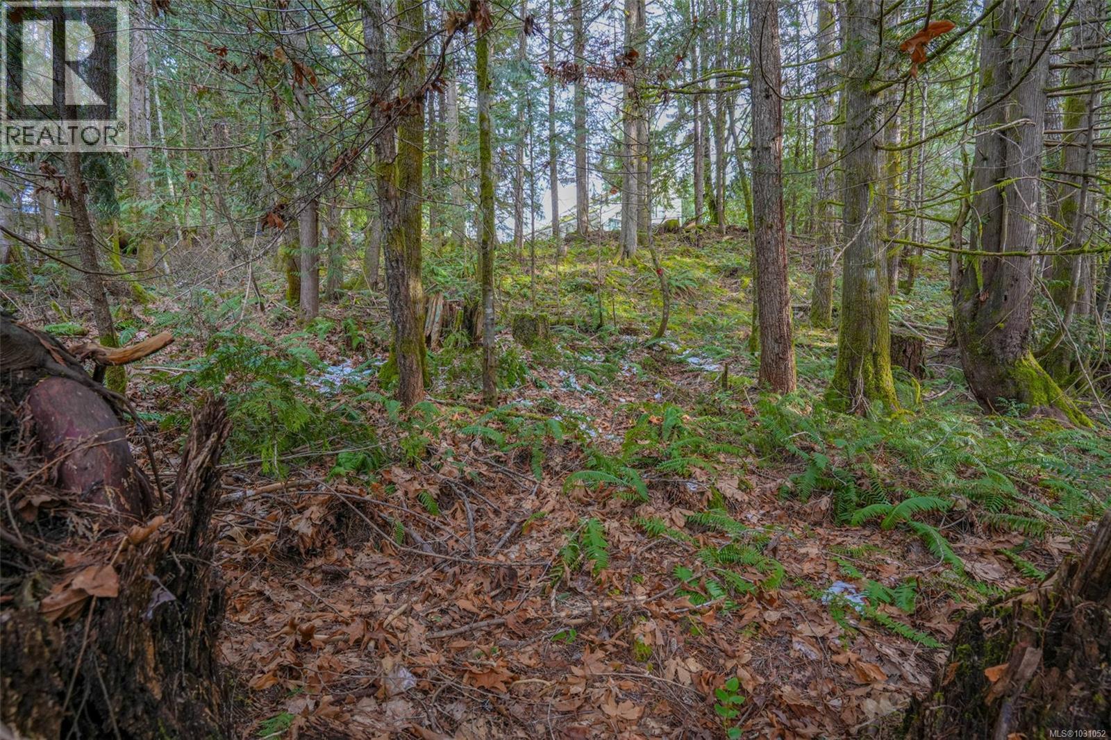 10440 Wilson Rd, Port Alberni