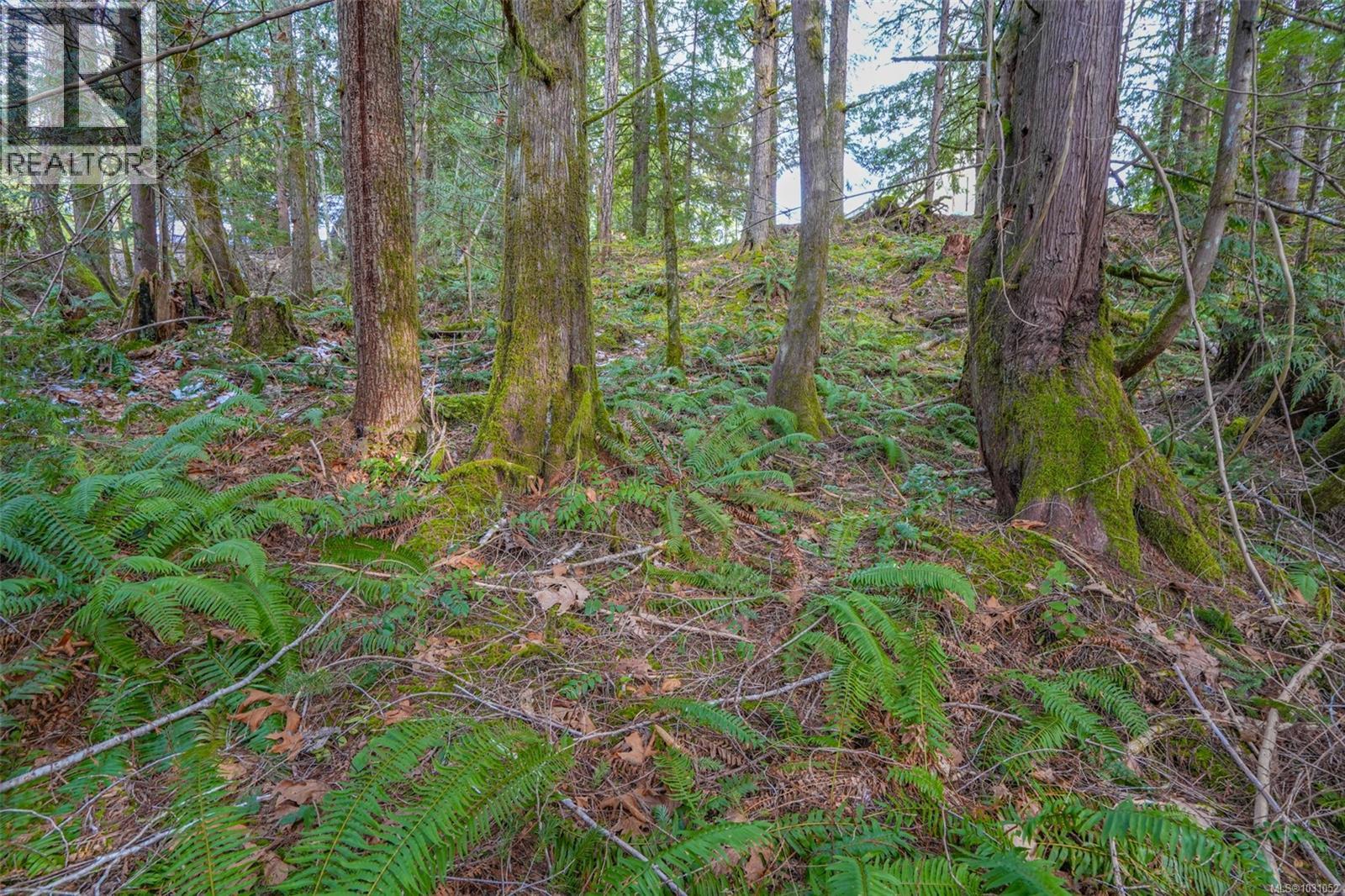 10440 Wilson Rd, Port Alberni