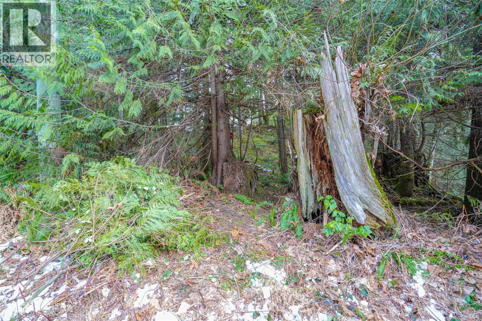 10440 Wilson Rd, Port Alberni