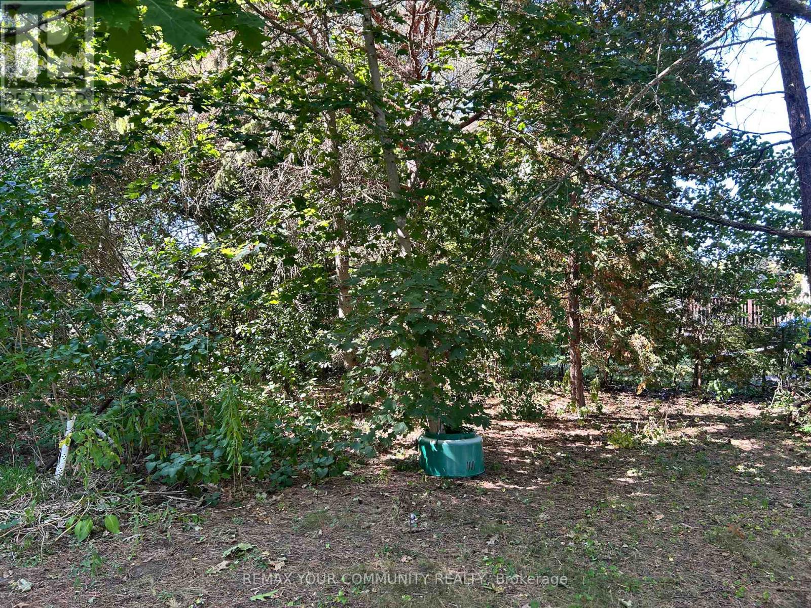 66 BRADFORD STREET - 16