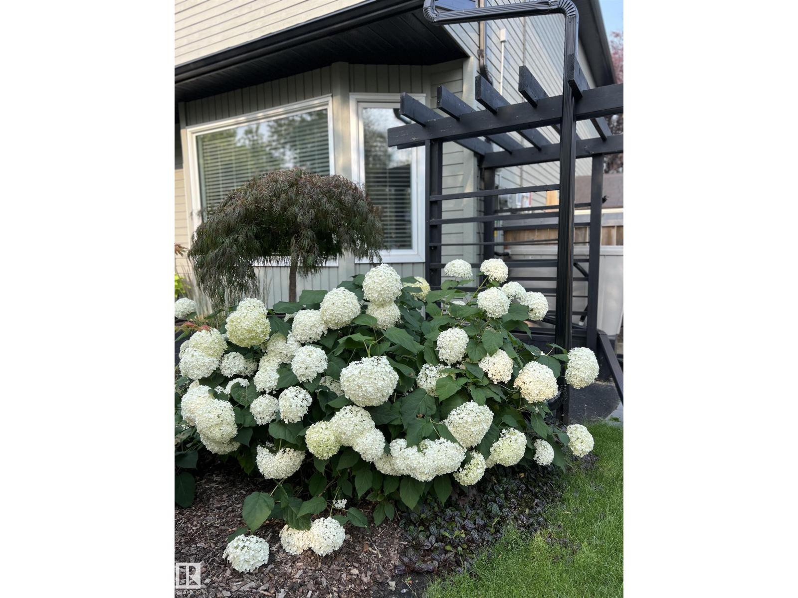 58 Patterson CR, St. Albert