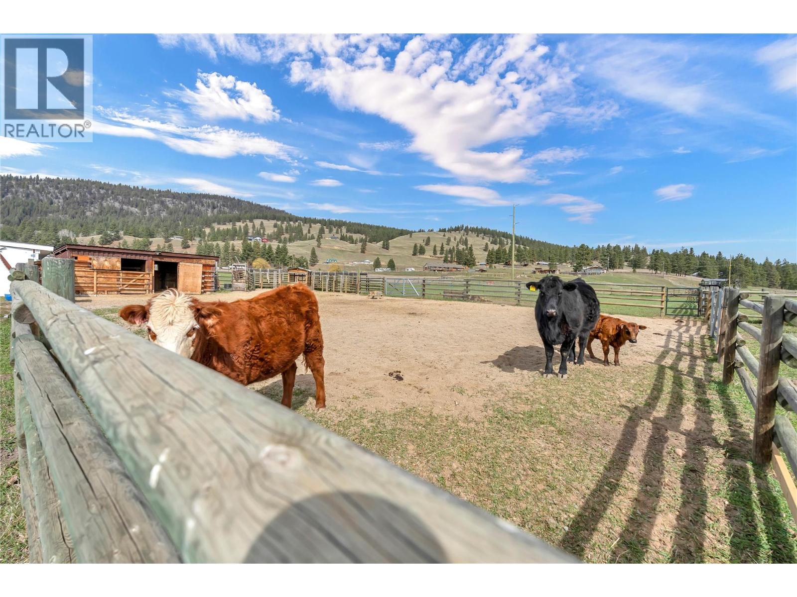 230 COALMONT ROAD - 32