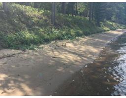18 Ch. Des Iroquois, L Ile Du Grand Calumet, QC J0X1J0 Photo 20