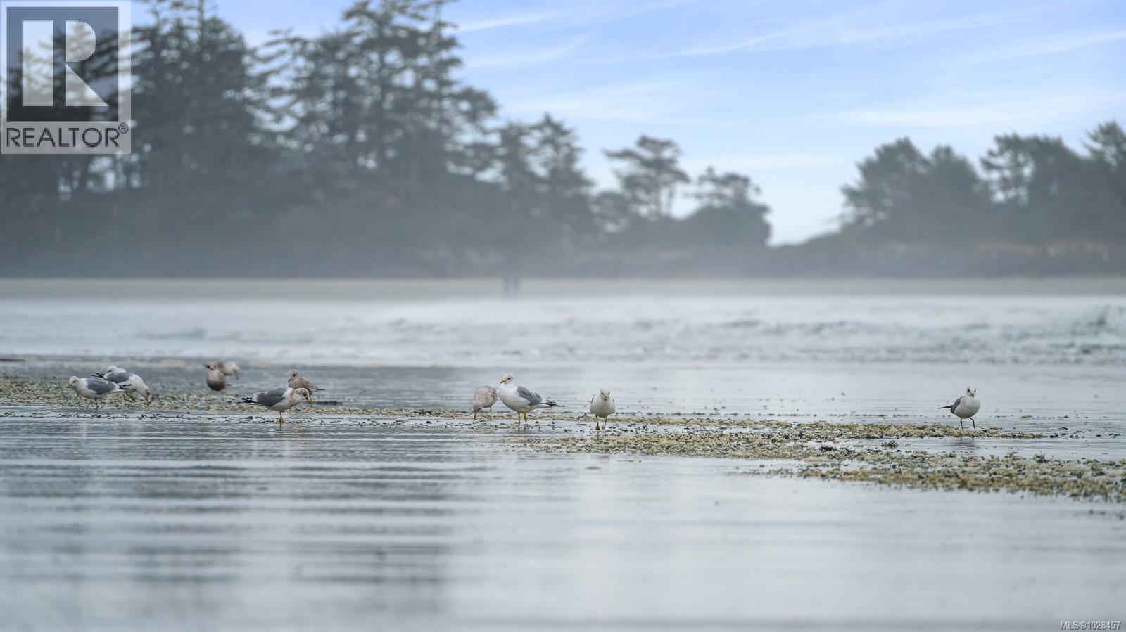 1257 Lynn Rd, Tofino