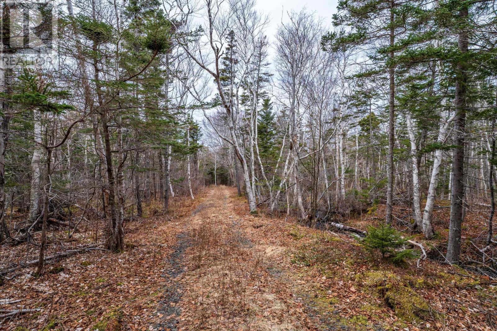 Property 21 of 32 of Lot Shore Road