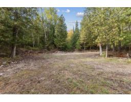 255 Ch. East-range, L Isle Aux Allumettes, QC J0X1M0 Photo 25