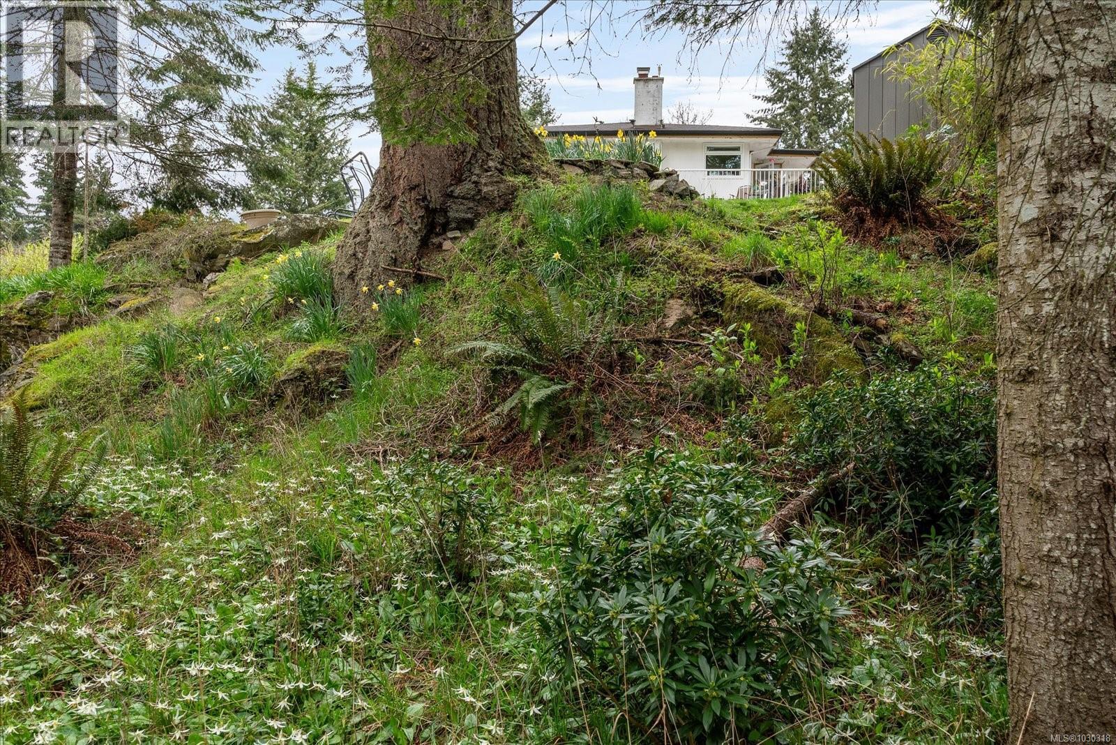 1694 GERRAND RD - 49